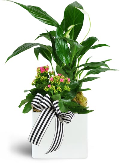 Product Image - A Day in Paris Garden Planter