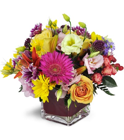 Product Image - Festival of Blooms™