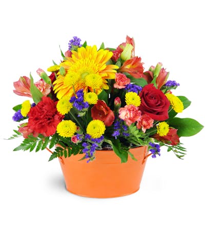 Product Image - Vibrant Garden