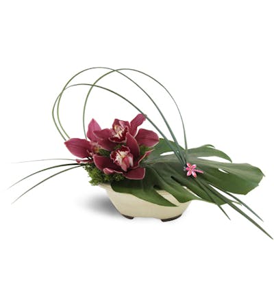 Product Image - Mountain Rain Orchids™