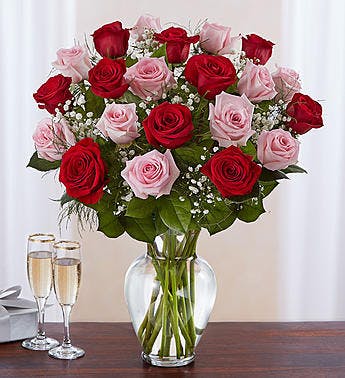 Product Image - Pink and Red Roses Two Dozen