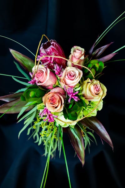 Product Image - Protea in Pink