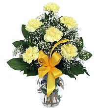 Product Image - Yellow Carnations 2022