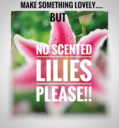 Product Image - No Lilies Please!