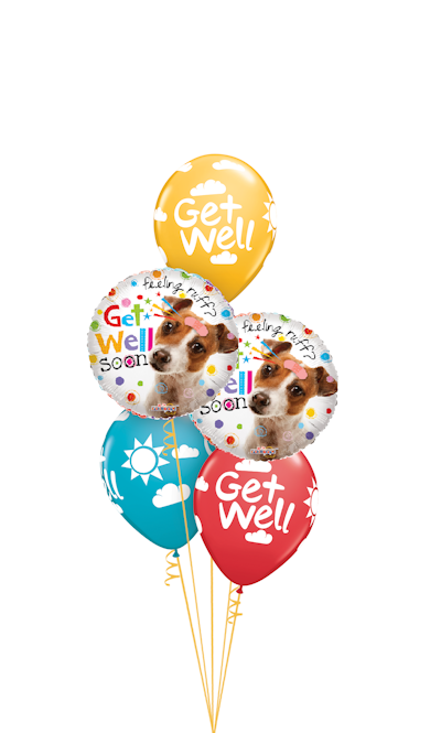 Product Image - Feeling Ruff? Get Well Soon Classic Balloon Bouquet
