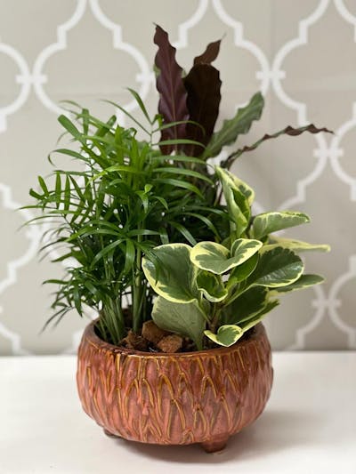 Product Image - Rustic Brown Dish Garden