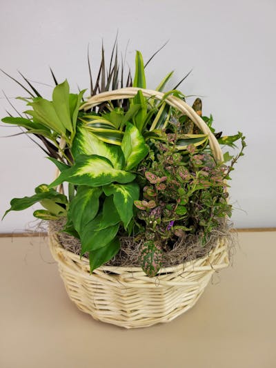 Product Image - Memories in a Basket