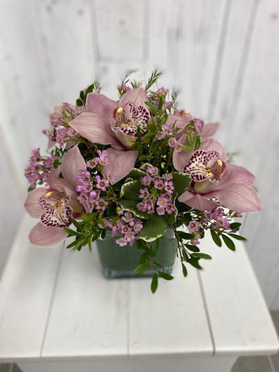 Product Image - Adorable Orchids by Red Rose