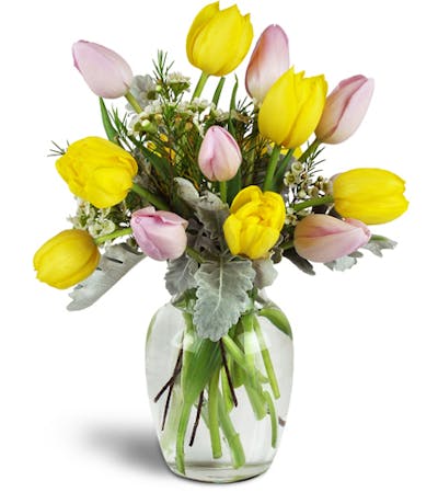 Product Image - Too Too Tulips!™