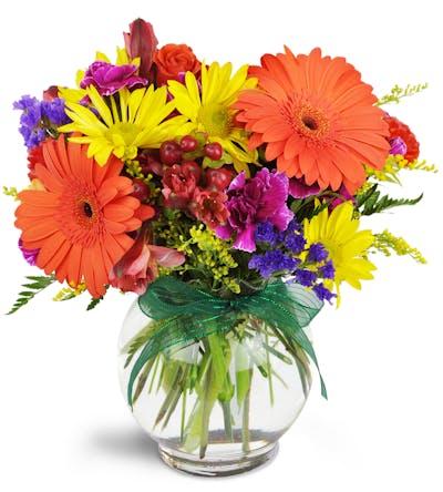 Product Image - Sunglow Blooms™
