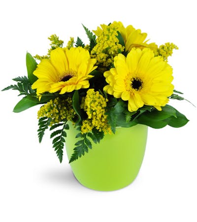 Product Image - Morning Sunbeam Daisy Vase™