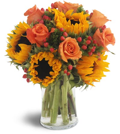 Product Image - Sweet Harvest Sunflowers™