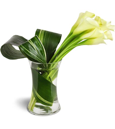 Product Image - Classic Elegance Calla Vase™