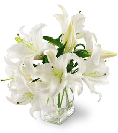 Product Image - Peaceful Lilies