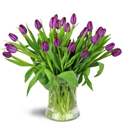 Product Image - Royal Tulips™