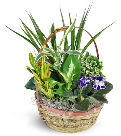 Product Image - Basket of Love