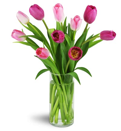 Product Image - Perfect Pink Tulips™