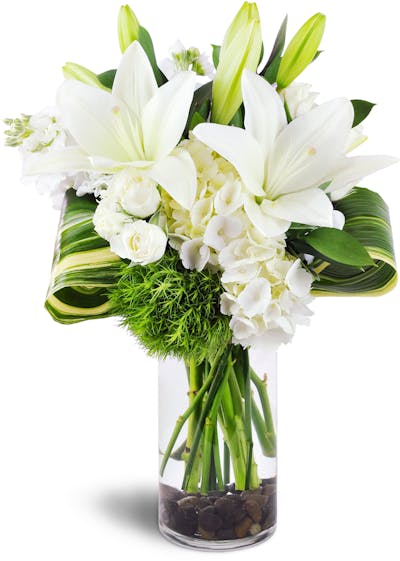 Product Image - Inspired Blooms™