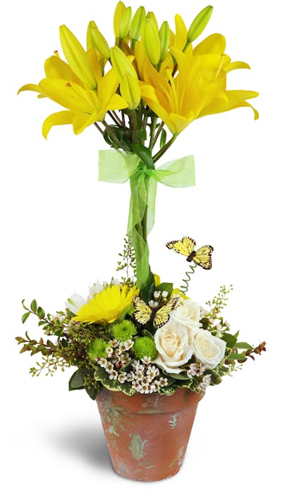 Product Image - Happiness in Bloom™ Topiary
