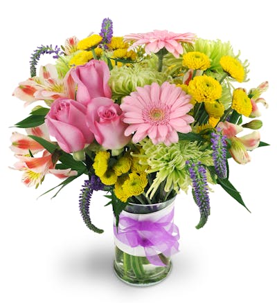 Product Image - Spring Surprise