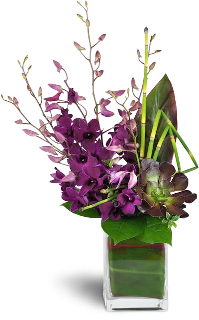 Product Image - Orchid Jewels™