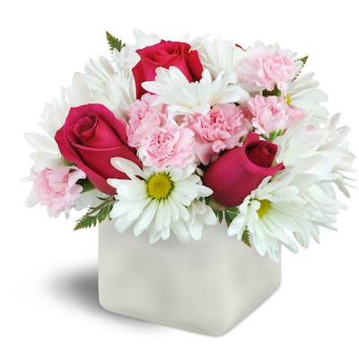 Product Image - Vibrant Blooms™