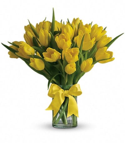 Product Image - Sunny Yellow Tulips