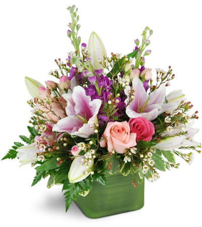 Product Image - May Flowers