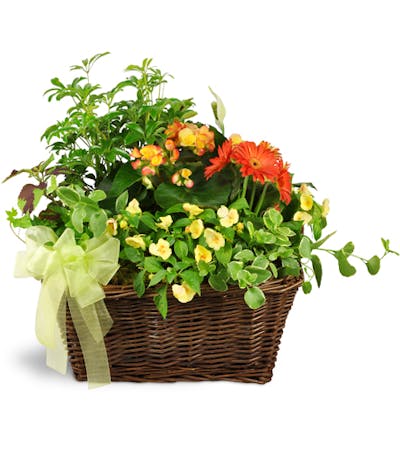 Product Image - Springtime Sympathies Garden Basket™