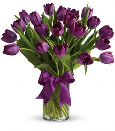 Product Image - Passionate Purple Tulips