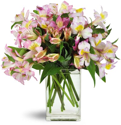 Product Image - Lively Lilies™